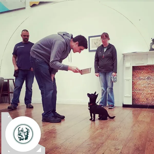 DogBase dog training
